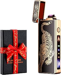 Electronic Plasma Arc Dual Arc Lighter